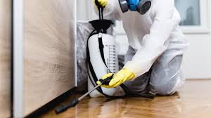 Best Pest Control for Multi-Family Homes  in Commack, NY